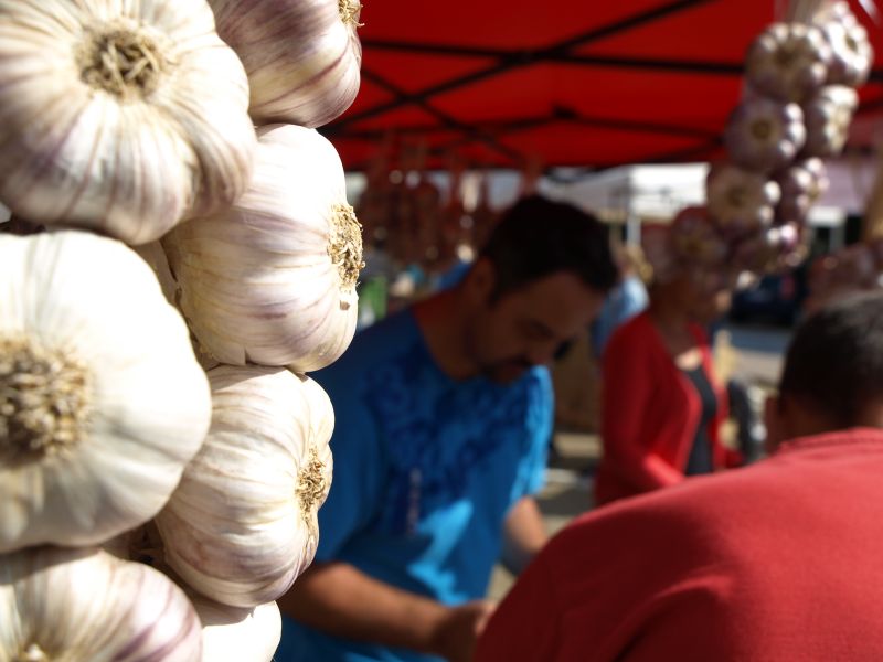 Rosické Česnekovky, voňavý svátek požitkářů