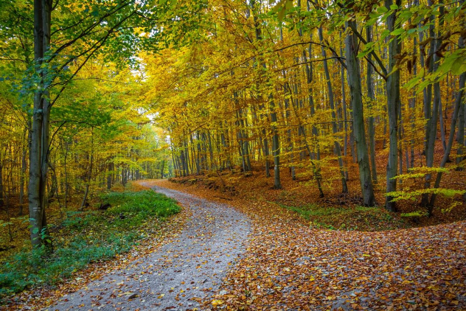 Foto: Jaroslav Macháček, fotosoutěž Kahanu 2021