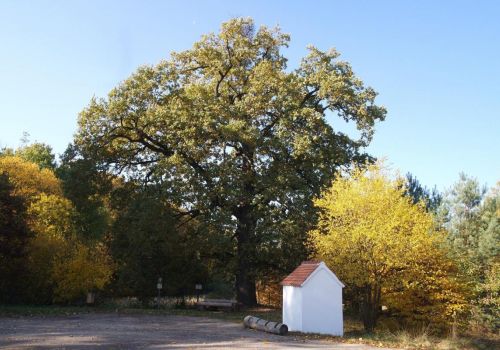 U SVATÉHO JÁNA (ZAKŘANY, LUKOVANY, VYSOKÉ POPOVICE)